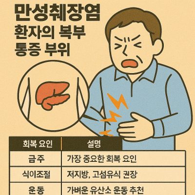 만성췌장염 환자의 복부 통증 부위를 설명하는 건강 일러스트