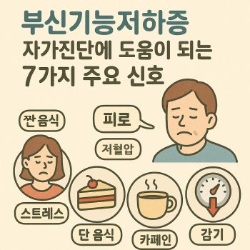 부신기능저하증 자가진단에 도움이 되는 7가지 주요 신호를 안내하는 건강 썸네일