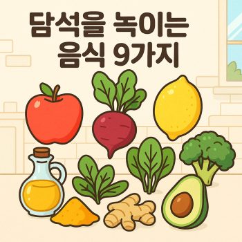 담석을 녹이는 음식 9가지, 자연스럽게 관리하는 방법 1 담석을 녹이는 음식 9가지를 소개하는 건강관리 정보 썸네일