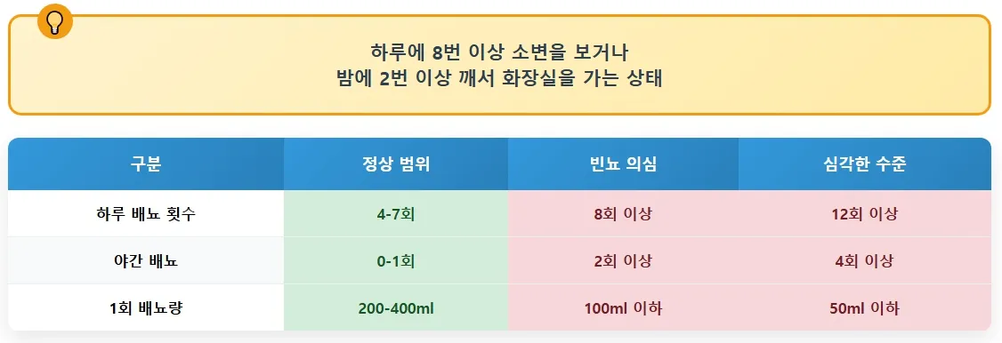 빈뇨의 기본 이해로 정상 범위, 빈뇨 의심, 심각한 수준을 나타냄