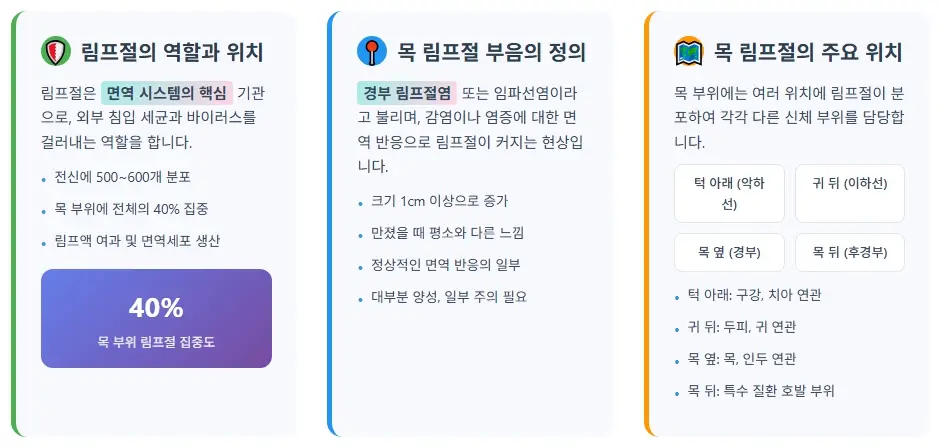 목 림프절 부음 원인 5가지와 치료법 완벽 가이드 2 목 림프절 부음이란 무엇인가