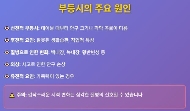 양쪽 눈 시력 다르면 알아야 할 원인과 해결방법 5가지 2 부등시의 주요원인