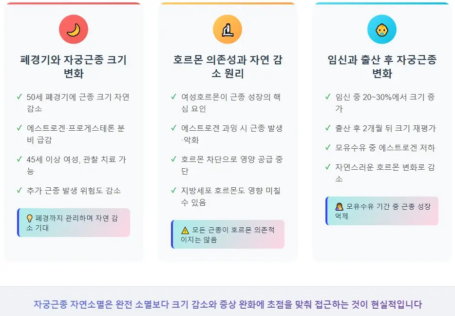자궁근종 자연소멸의 의학적 가능성