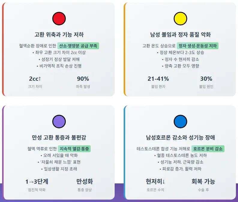 정계정맥류 수술안하면 나타나는 위험성 4가지와 대처방법 2 정계정맥류 수술안하면 발생하는 주요 위험성