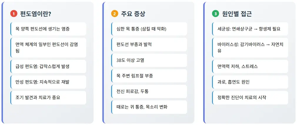 편도 부었을 때 빨리 낫는법 6가지 완벽 가이드 2 편도염의 이해와 주요 증상과 원인별 접근