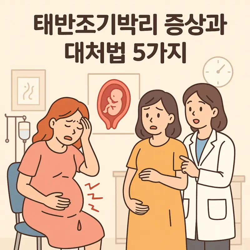 태반조기박리 증상과 대처법을 설명하는 임신 중 응급상황 가이드 이미지
