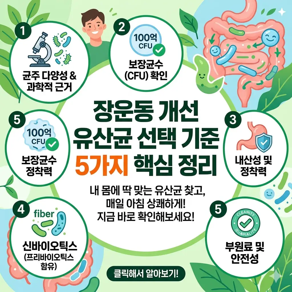 장운동개선 유산균 선택 기준 5가지를 정리한 건강 정보 썸네일