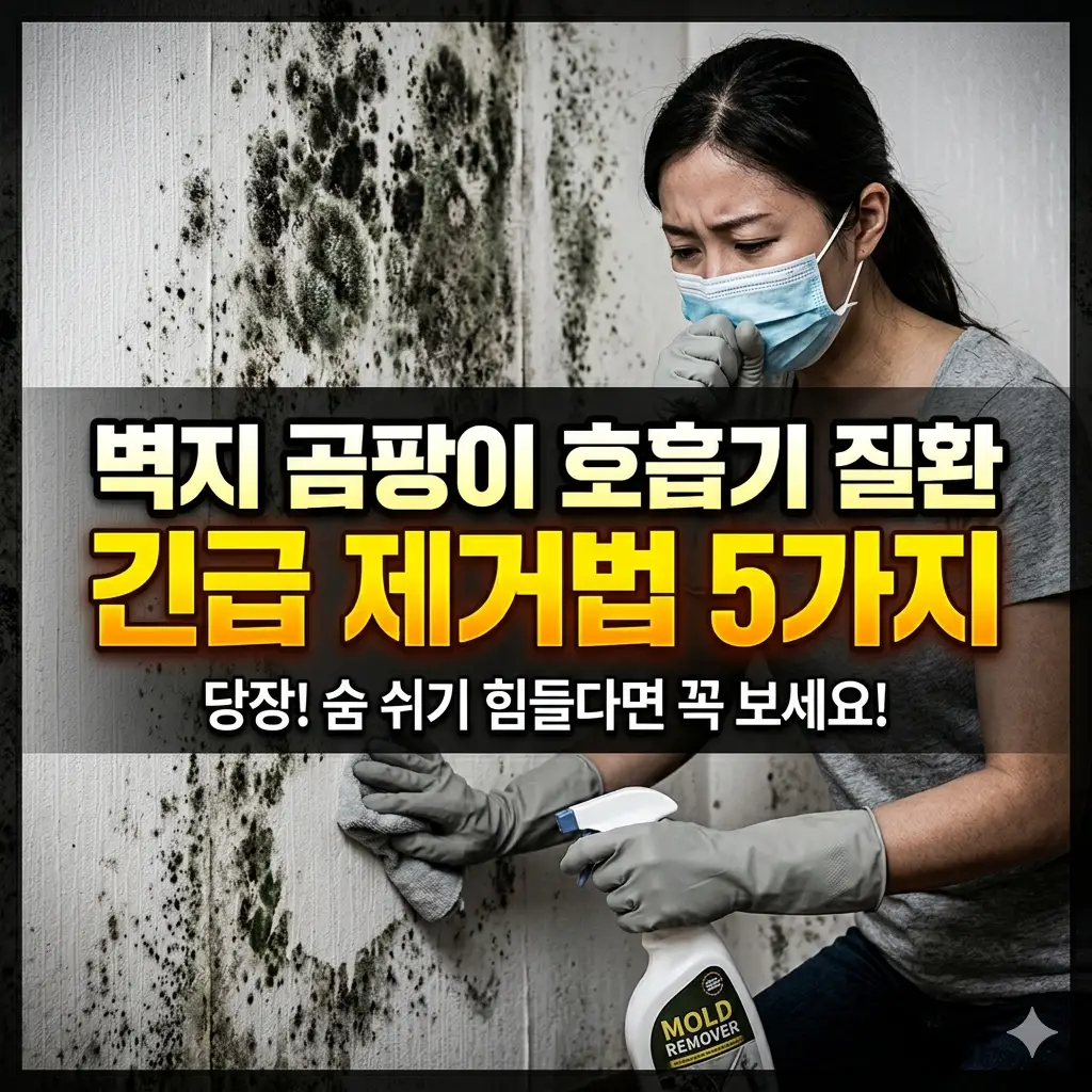 벽지 곰팡이 호흡기 질환 유발 위험성과 긴급 제거법 5가지를 안내하는 건강 생활 정보 썸네일