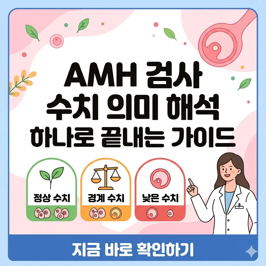 AMH 검사 수치 결과를 해석하고 난소 나이의 의미를 쉽게 설명하는 가이드 썸네일.