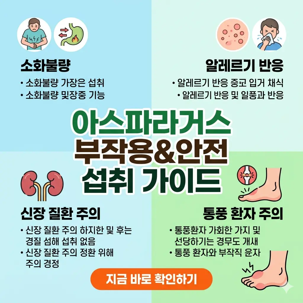 아스파라거스의 체질별 부작용 위험성과 안전한 섭취 방법을 안내하는 정보 그래픽 썸네일.