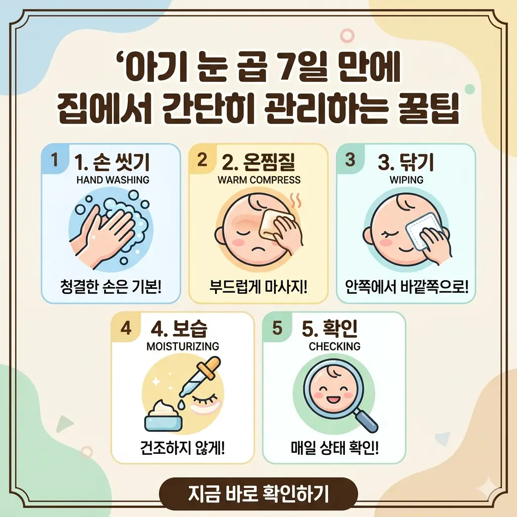 아기 눈곱 관리를 위한 5단계 수칙(손 씻기, 온찜질, 닦기, 보습, 확인)이 담긴 1:1 비율의 정보성 인포그래픽 포스터.