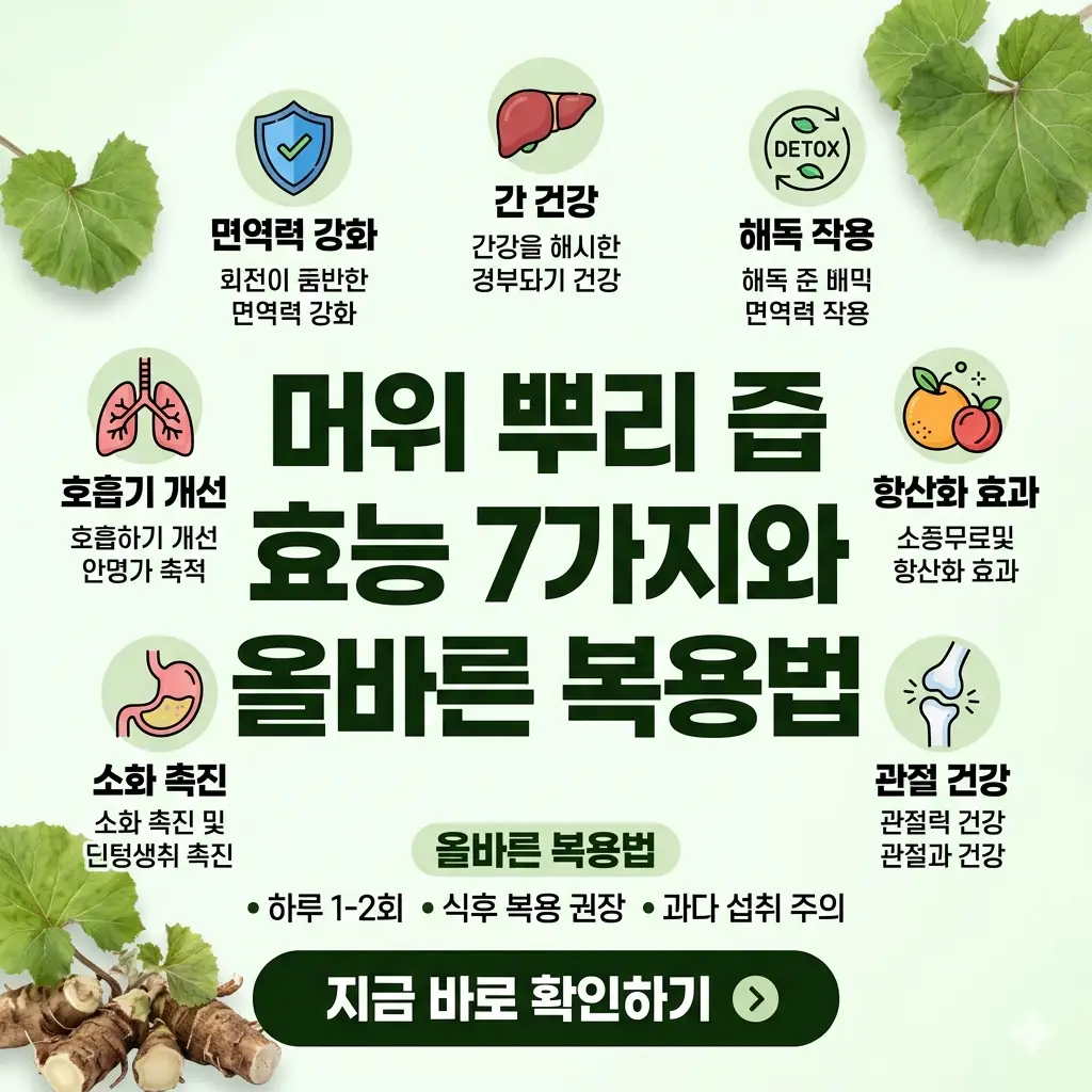 머위 뿌리 즙의 7가지 효능과 올바른 복용법을 요약한 밝고 깔끔한 1:1 비율의 썸네일 이미지.
