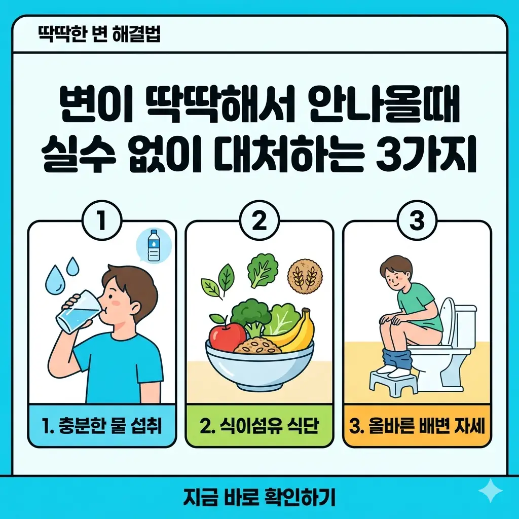 변비 해결을 위한 물 섭취, 식이섬유 식단, 올바른 배변 자세를 설명하는 1:1 비율의 정보성 썸네일 이미지입니다.