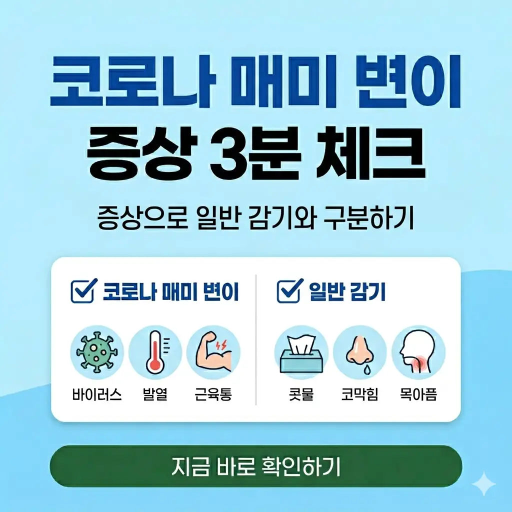 코로나 매미 변이 증상과 감기를 구분하는 1:1 비율의 정보성 썸네일 이미지입니다.