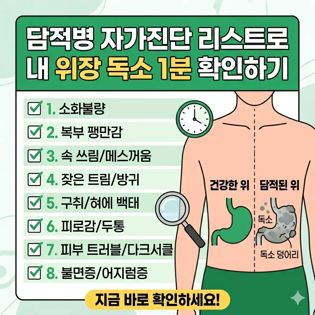 담적병 자가진단 리스트로 위장 독소 상태를 1분 만에 확인하는 건강 썸네일 이미지
