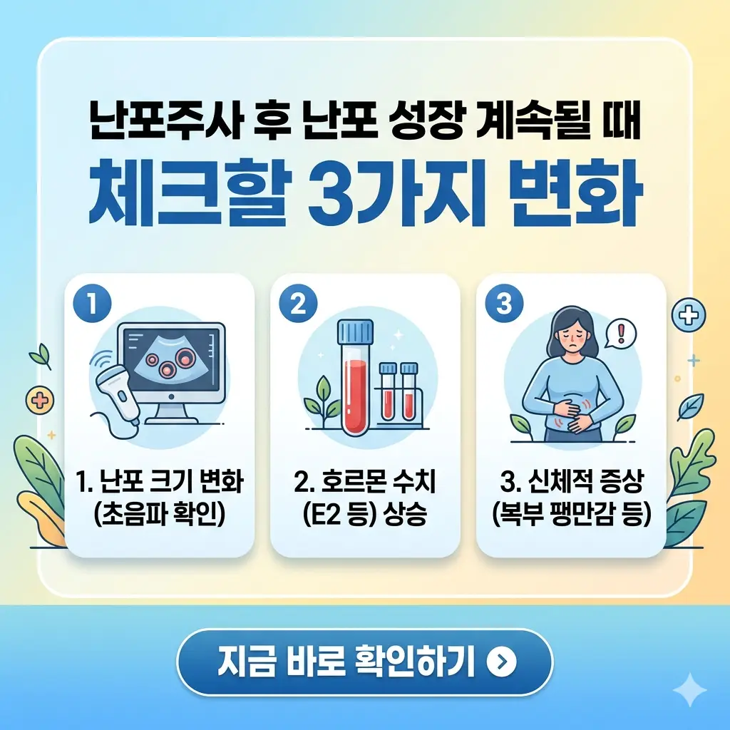 난포주사 후 난포 성장 지속 시 체크할 3가지 주요 변화를 설명하는 직관적인 인포그래픽 썸네일.