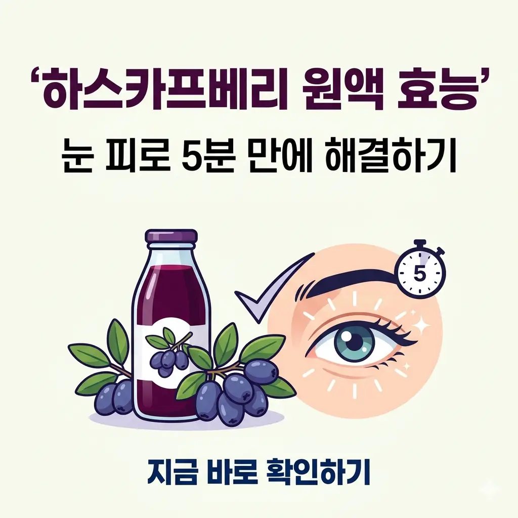 하스카프베리 원액과 눈 피로 해소 효과를 나타내는 시각적 요소와 한글 제목이 포함된 1:1 포스터.