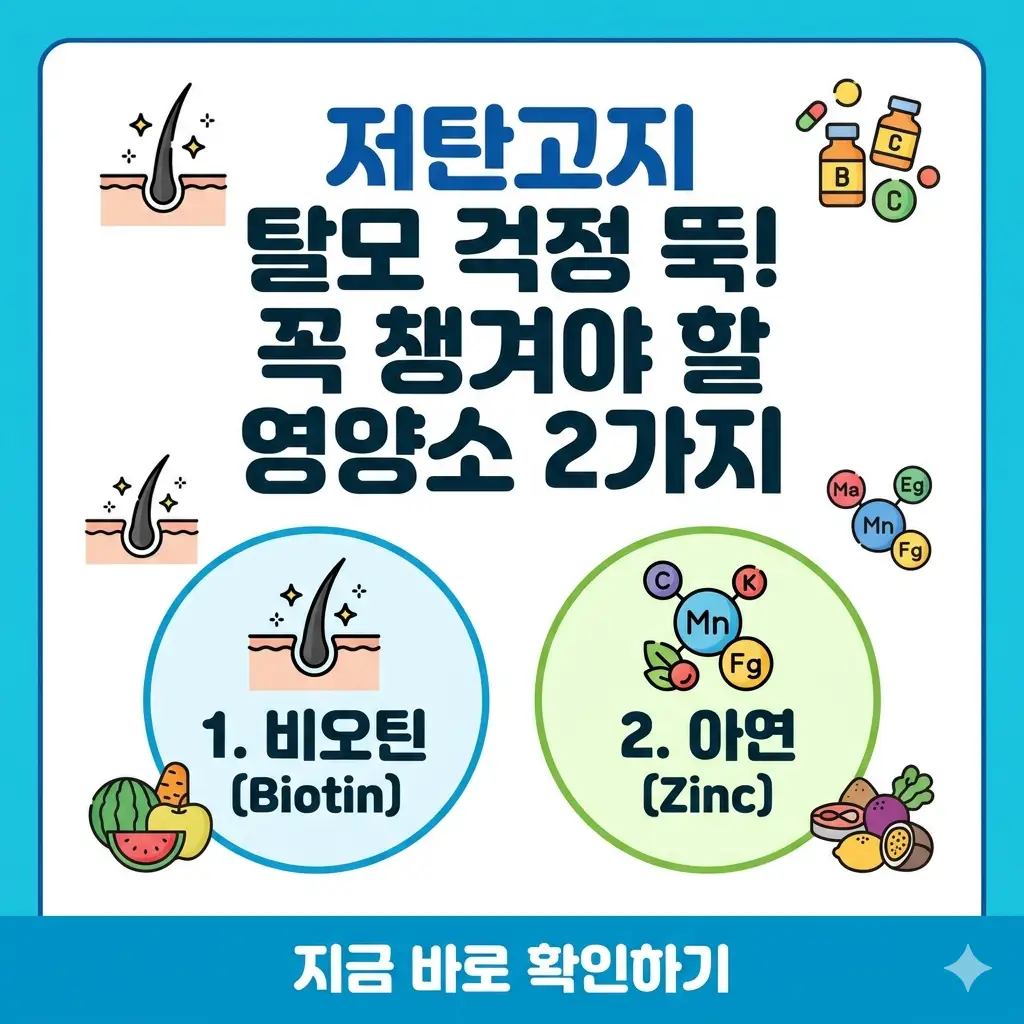 저탄고지 탈모 예방을 위한 핵심 영양소 2가지(비오틴, 아연) 정보가 담긴 썸네일 이미지.