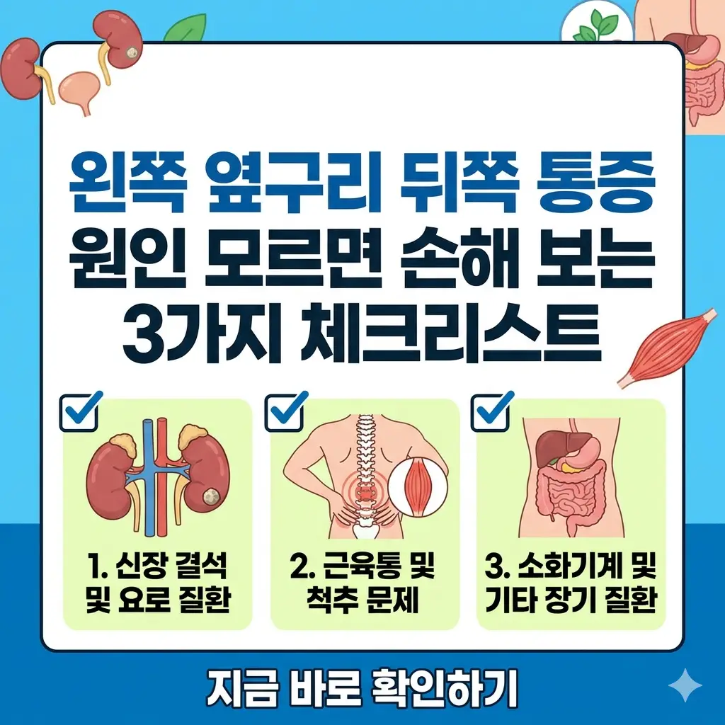 왼쪽 옆구리 뒤쪽 통증의 세 가지 주요 원인을 점검하는 체크리스트 썸네일.