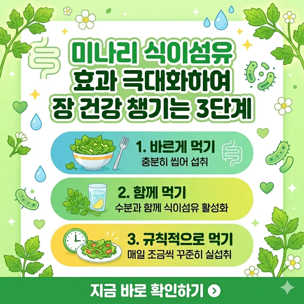 미나리 식이섬유로 장 건강을 챙기는 3단계 효과를 요약한 1:1 비율의 정보성 썸네일 이미지.