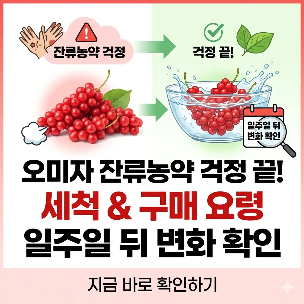 세척 후 맑은 물에 담긴 신선하고 붉은 오미자 열매와 이를 확인하는 건강한 이미지.