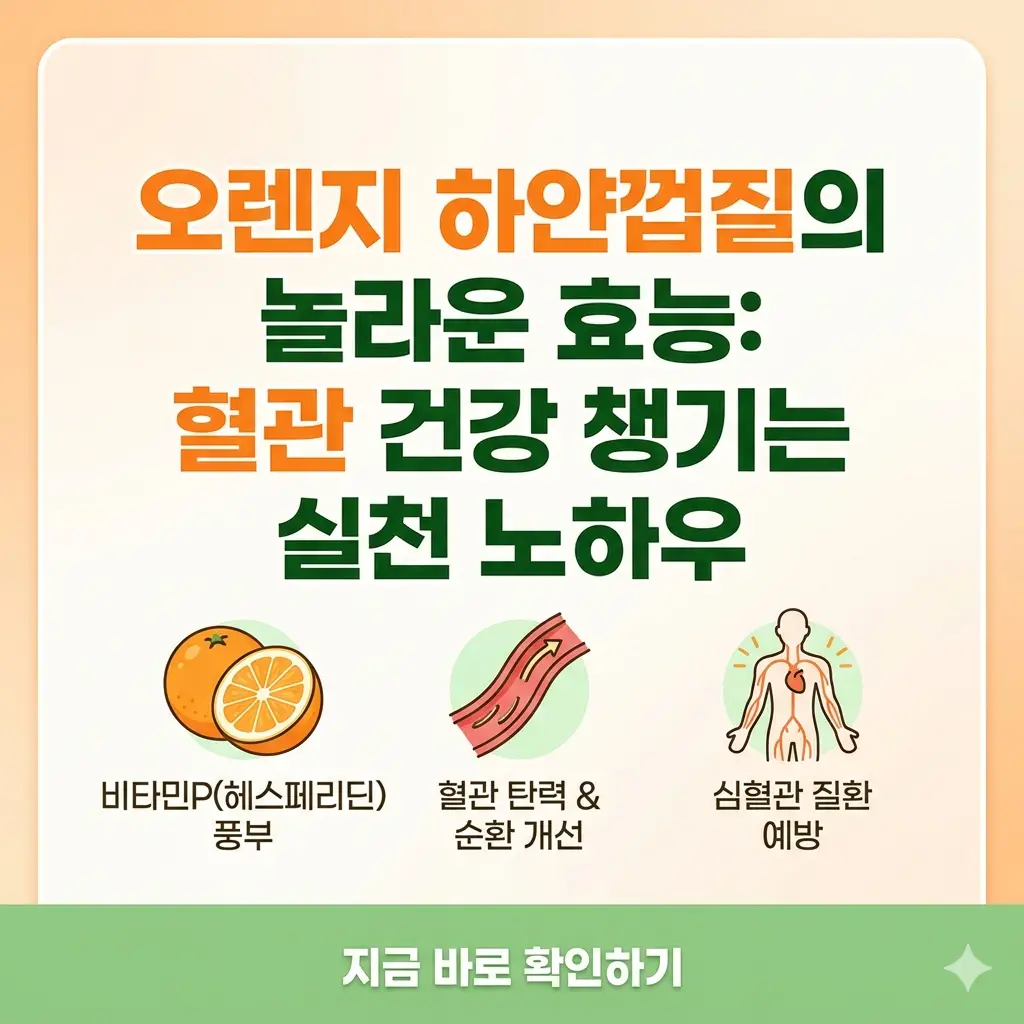 오렌지 하얀껍질 효능 알고 혈관 건강 챙기는 실천 노하우 1 오렌지 속 하얀 껍질의 효능으로 혈관 건강을 챙기는 실천 노하우를 담은 정보성 썸네일 이미지.