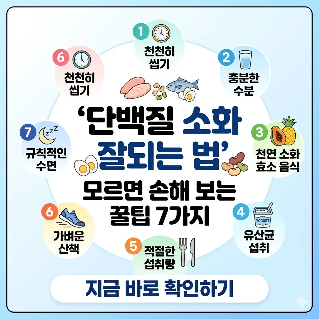 '단백질 소화 잘되는 법 꿀팁 7가지' 제목과 함께 소화 기관과 음식이 그려진 1:1 비율의 밝은 썸네일 이미지.