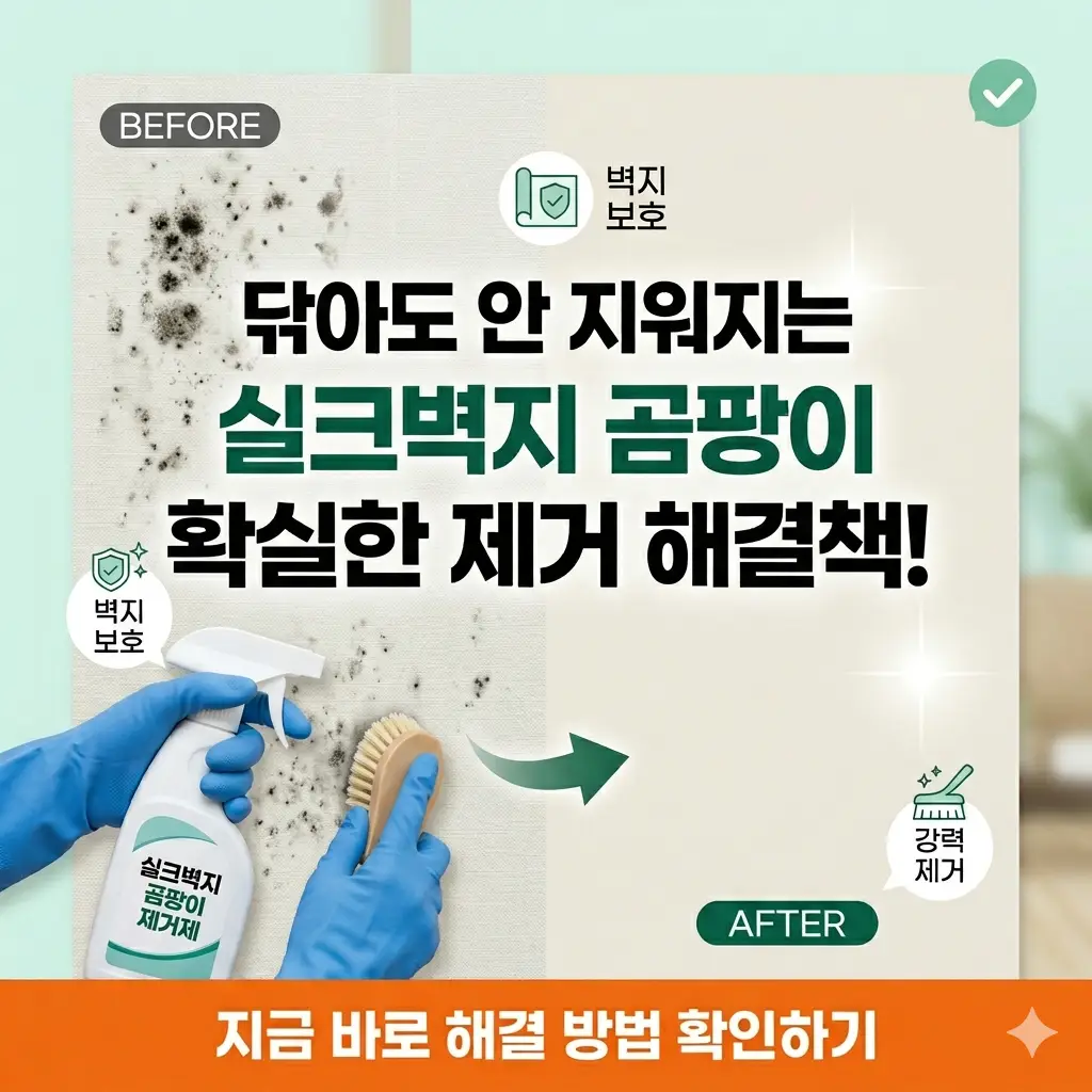 실크벽지에 핀 곰팡이를 전용 제거제와 브러시로 깨끗하게 지우는 청소 전후 과정.