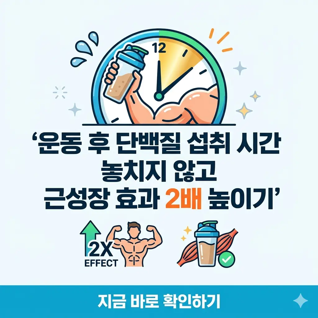 시계를 배경으로 운동 후 단백질 섭취를 통한 근육 성장 시각화.