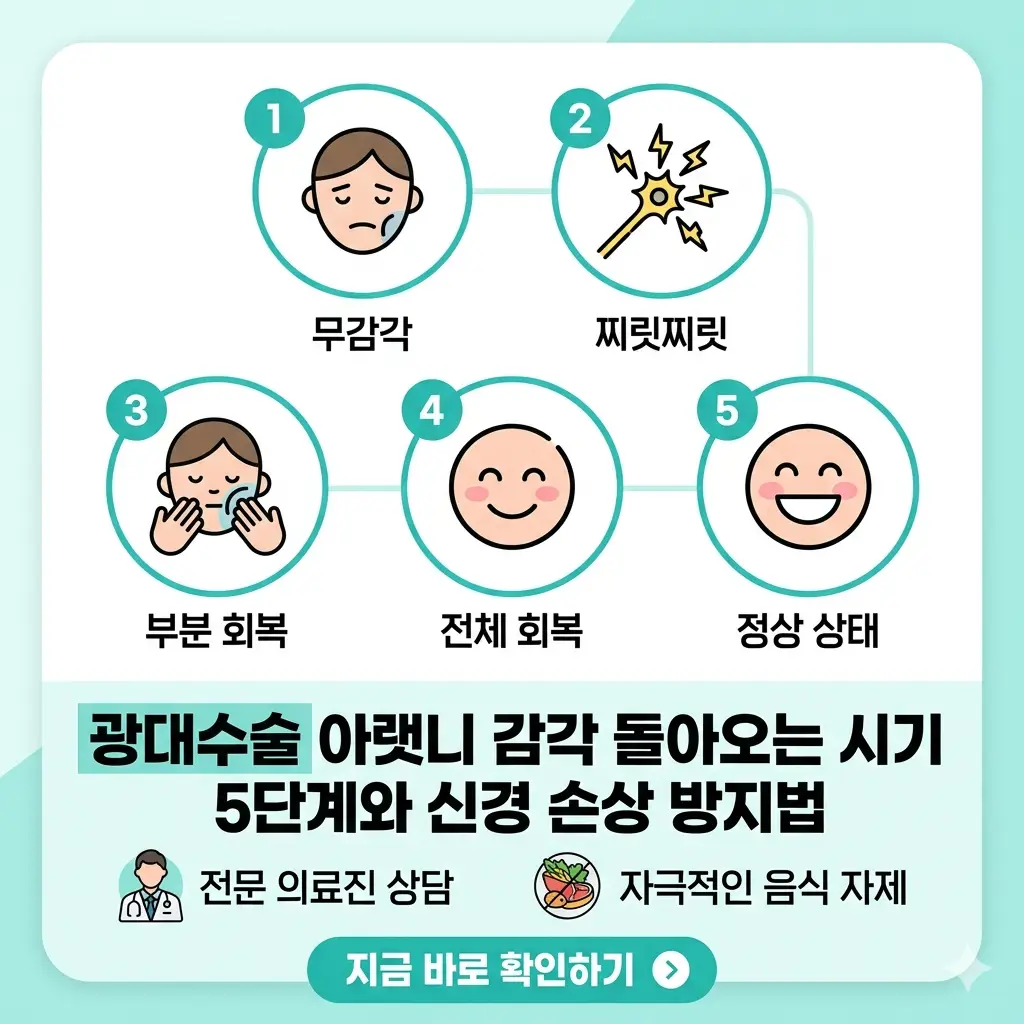 광대수술 후 아랫니 감각 회복 5단계와 신경 손상 방지법을 설명하는 밝은 톤의 1:1 인포그래픽 썸네일입니다.