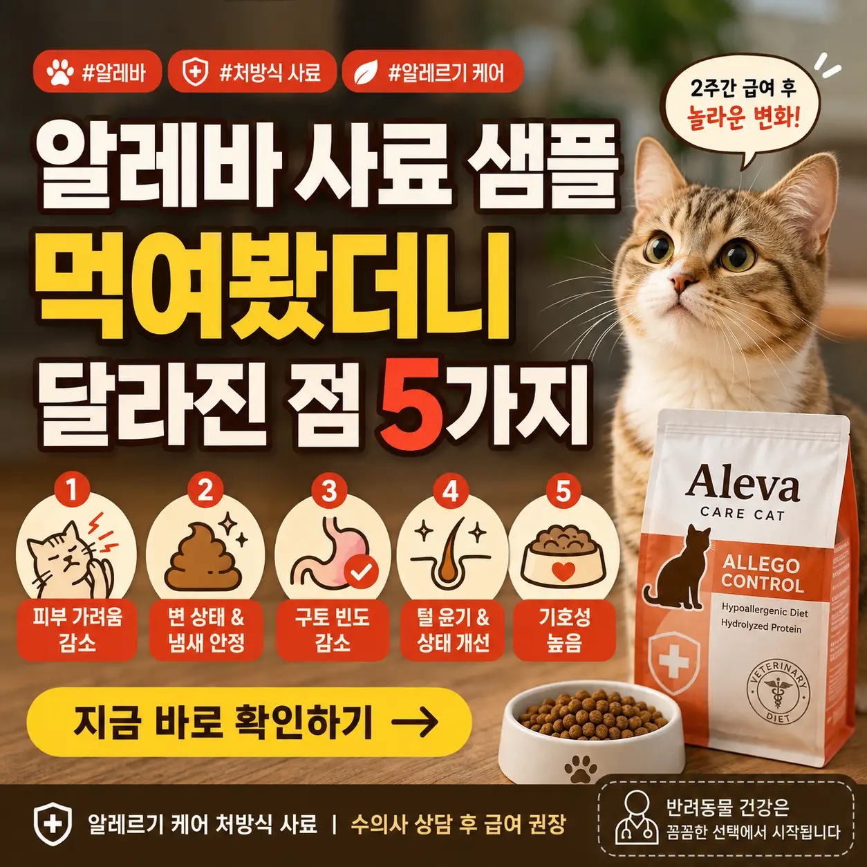알레바 사료 샘플 급여 후 피부·변 상태·구토 등 5가지 변화를 보여주는 반려묘 썸네일.