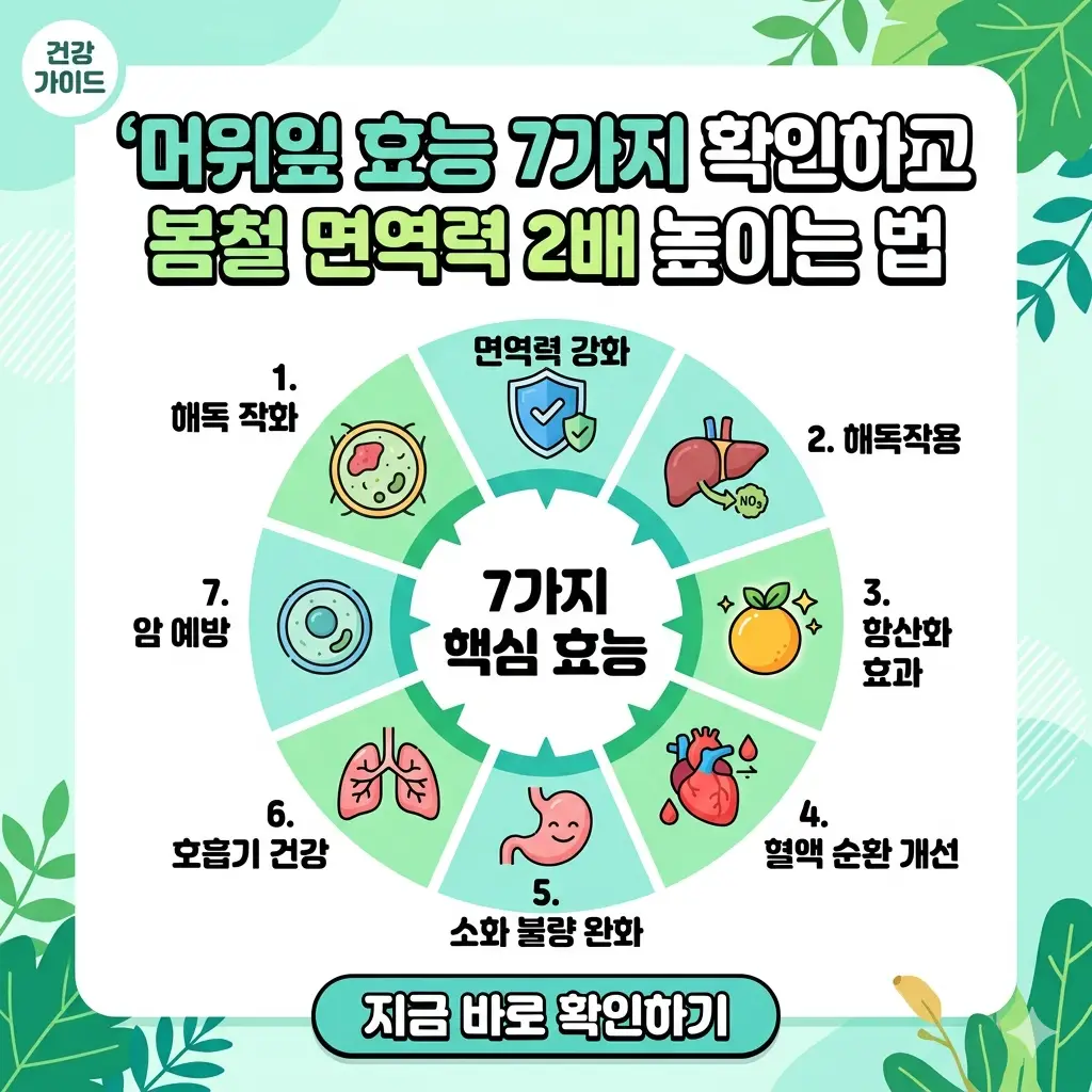 봄철 면역력을 높이는 머위잎의 7가지 주요 효능을 정리한 타이포그래피 인포그래피 썸네일 이미지입니다.