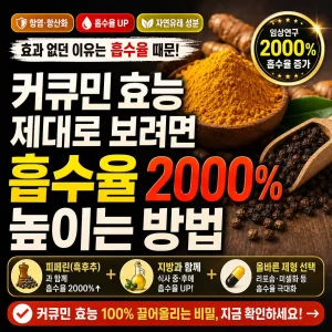 커큐민 흡수율을 높이는 피페린과 지방 섭취 방법을 강조한 건강 정보 썸네일.