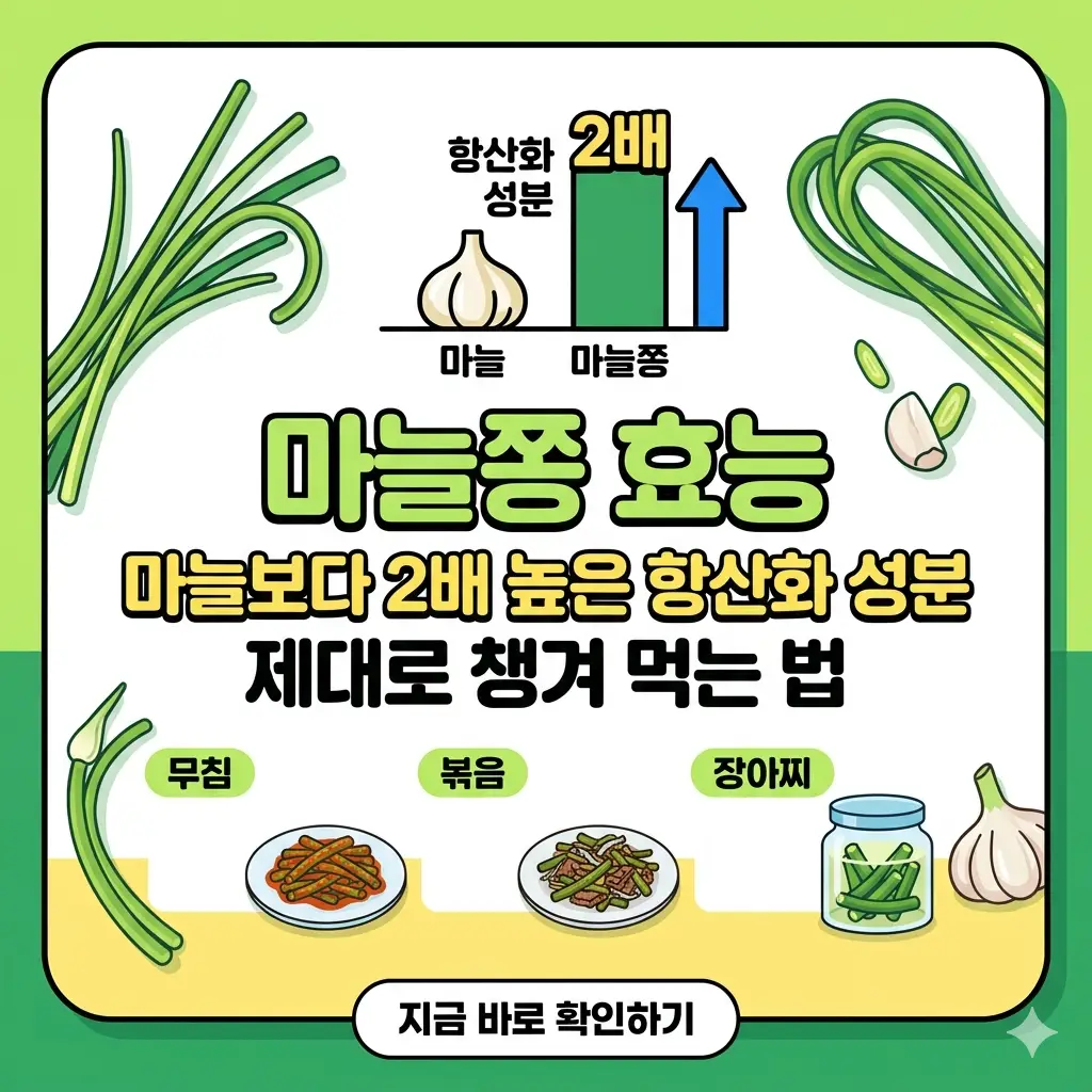 싱싱한 마늘쫑과 마늘을 비교하며 항산화 성분을 강조하고, 다양한 마늘쫑 요리를 보여주는 1:1 썸네일 이미지.