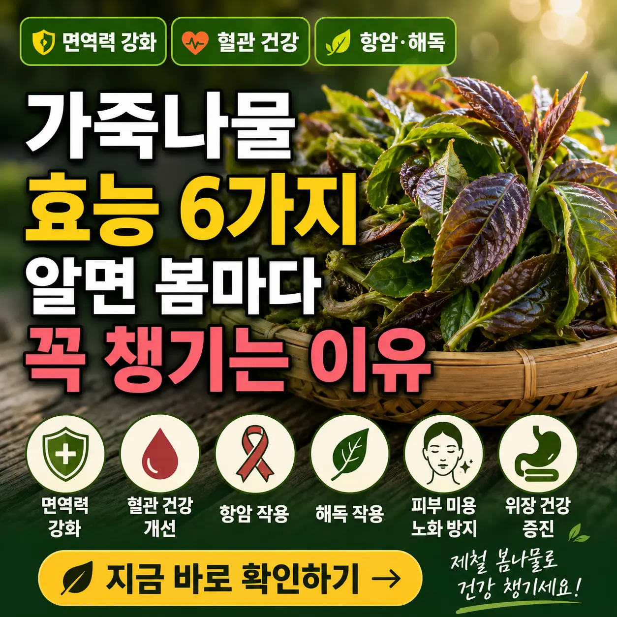 봄나물 가죽나물의 6가지 효능을 강조한 건강 정보 썸네일입니다.