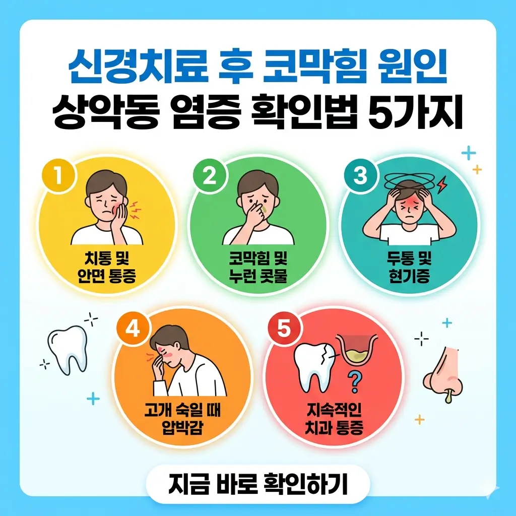 신경치료 후 코막힘 원인인 상악동 염증을 확인하는 5가지 방법을 설명하는 인포그래픽.