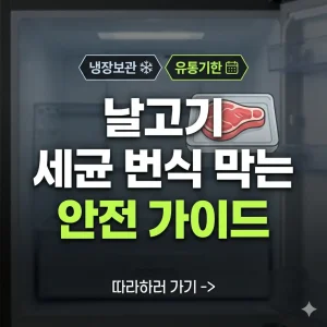 어두운 냉장고 배경에 '날고기 세균 번식 막는 안전 가이드'라는 문구와 생고기 아이콘이 있는 썸네일.