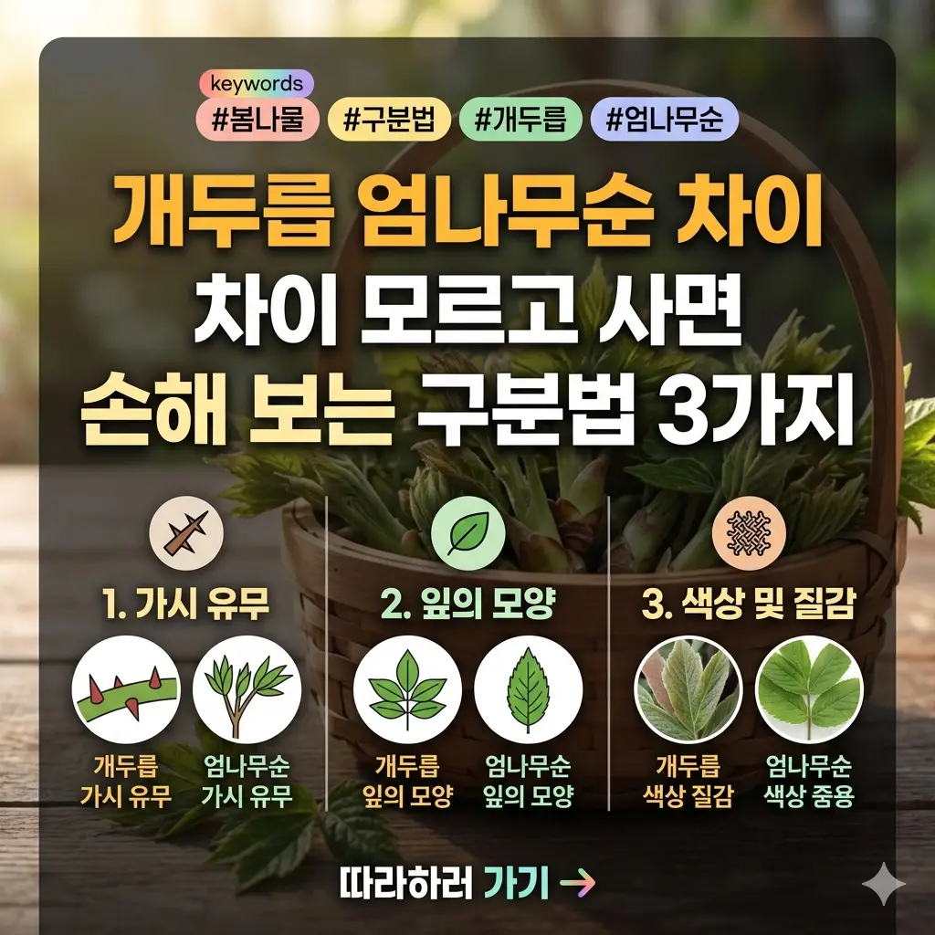 개두릅과 엄나무순의 외형적 차이 세 가지를 비교 설명하는 포스터 이미지입니다.