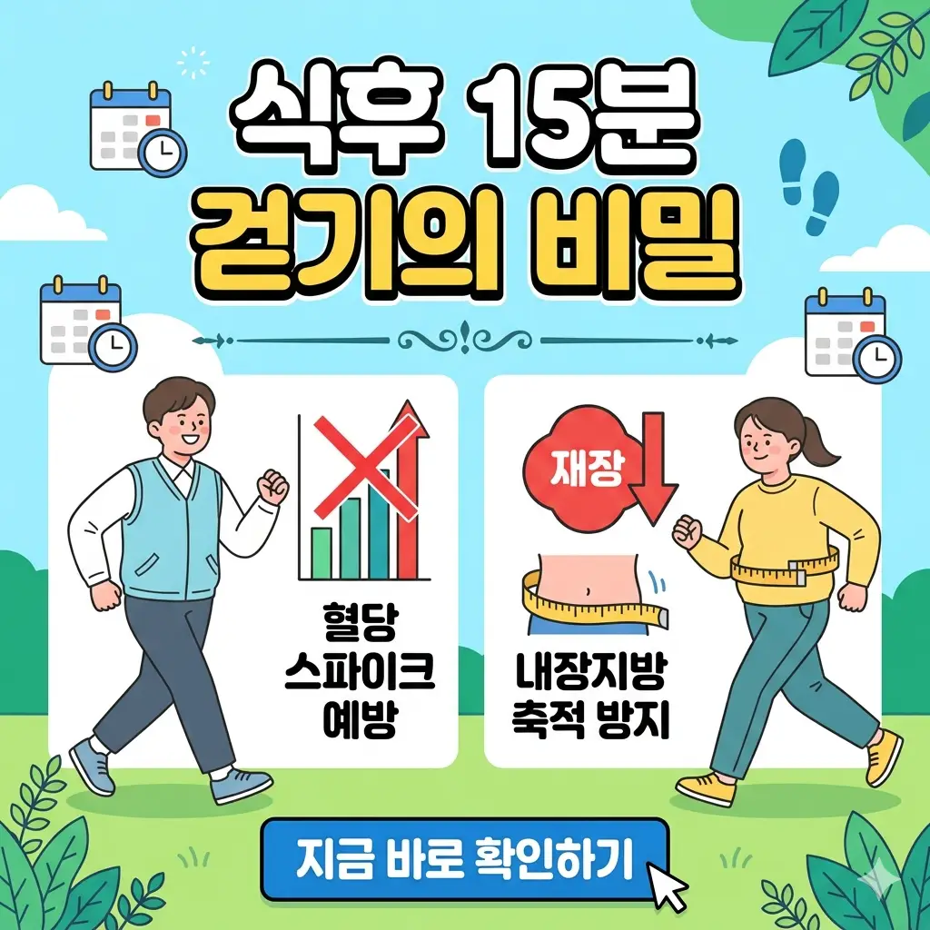 식후 15분 걷기가 혈당 스파이크를 막고 내장지방 축적을 방지하는 효과를 설명하는 건강 정보 썸네일입니다.