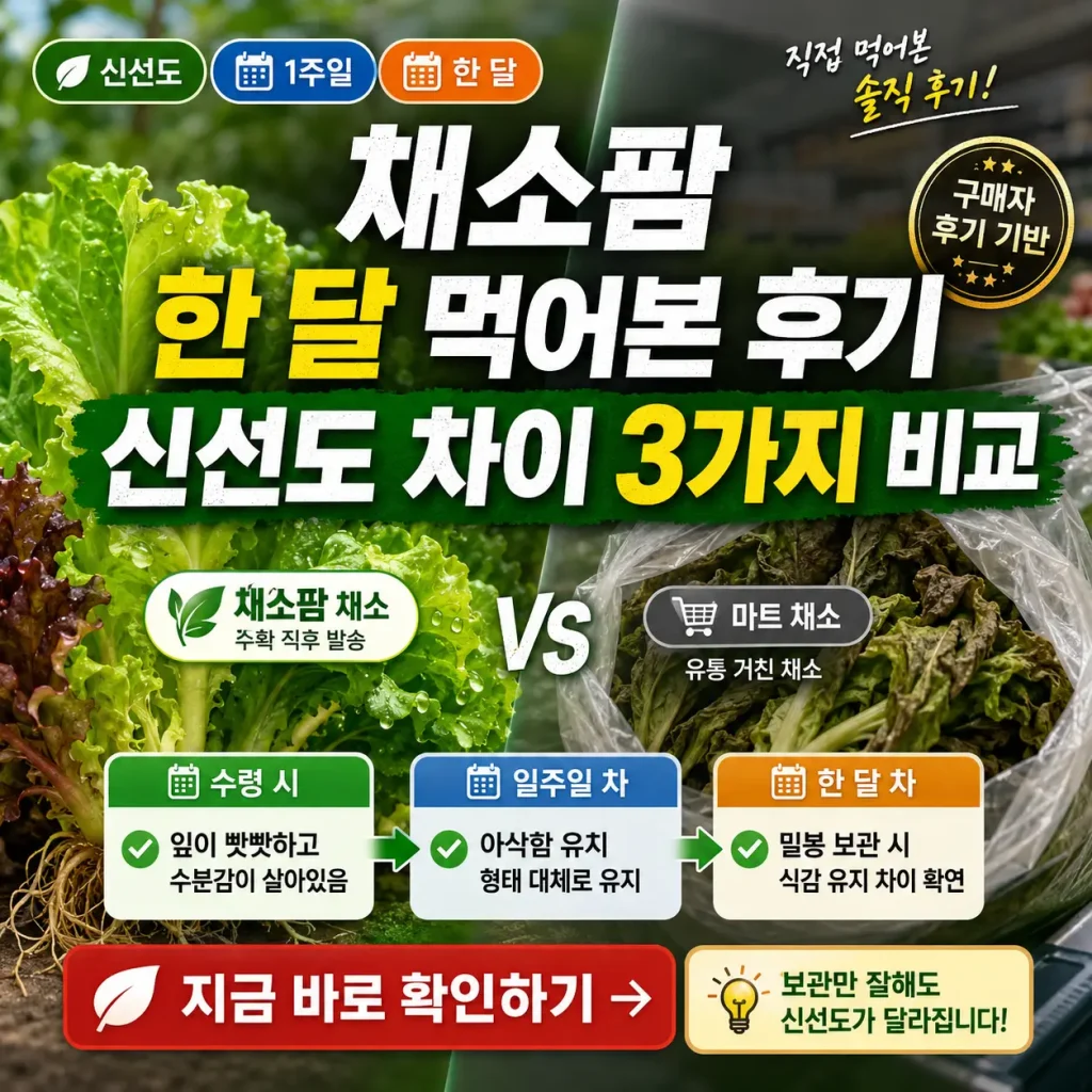 채소팜 채소와 마트 채소의 신선도 차이를 한 달 후기 기준으로 비교한 썸네일.