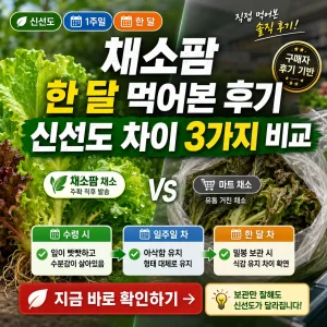 채소팜 채소와 마트 채소의 신선도 차이를 한 달 후기 기준으로 비교한 썸네일.