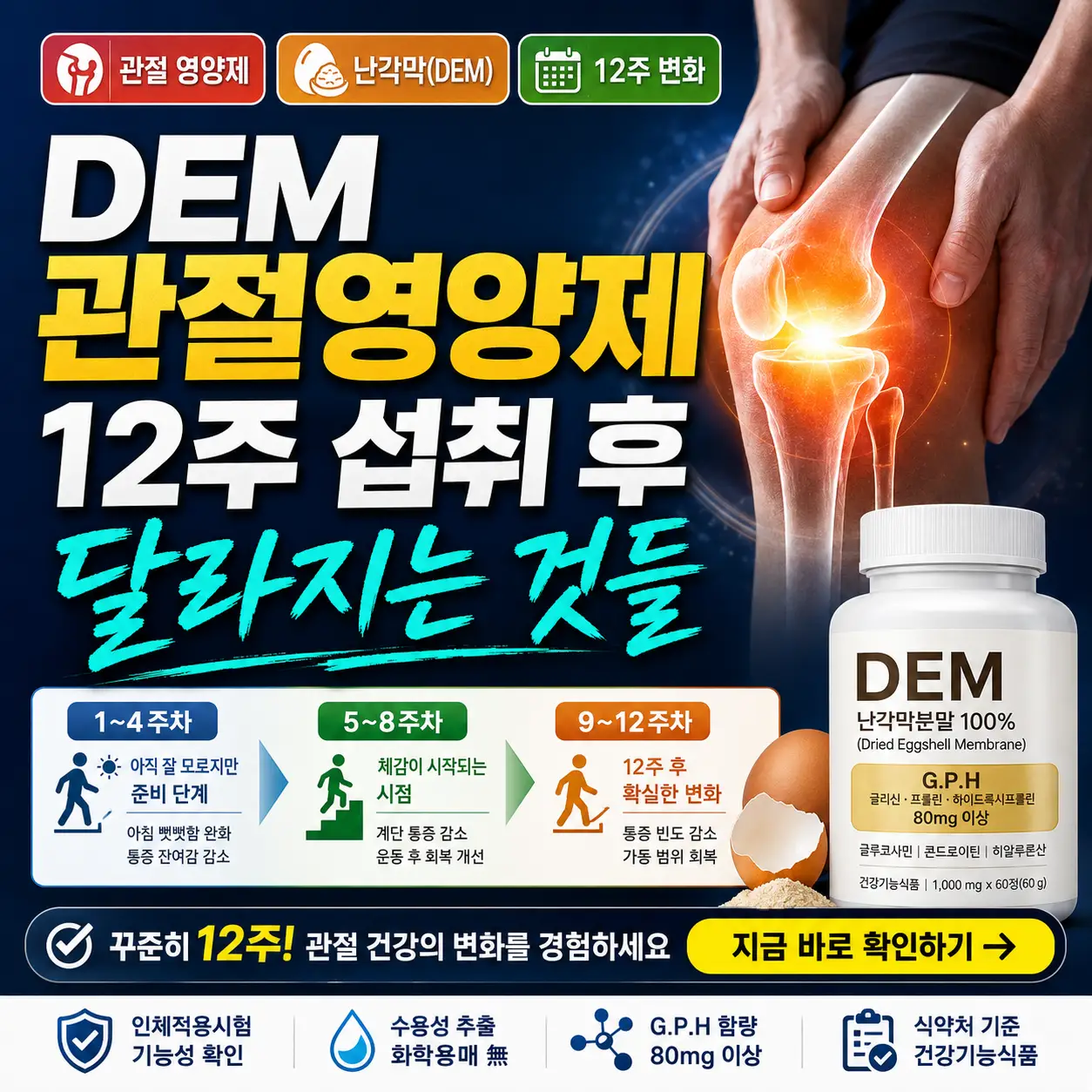 DEM 관절영양제 12주 섭취 후 관절 통증과 움직임 변화를 강조한 썸네일.