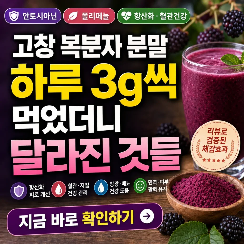 고창 복분자 분말 3g 섭취 루틴과 항산화 건강 변화를 강조한 썸네일 이미지.