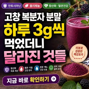 고창 복분자 분말 3g 섭취 루틴과 항산화 건강 변화를 강조한 썸네일 이미지.