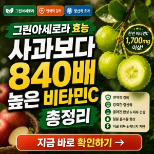 그린아세로라와 비타민C 효능을 강조한 건강 정보 썸네일 이미지.