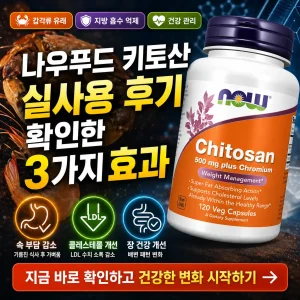 나우푸드 키토산 후기와 지방흡수·콜레스테롤·장 건강 3가지 효과를 강조한 썸네일.