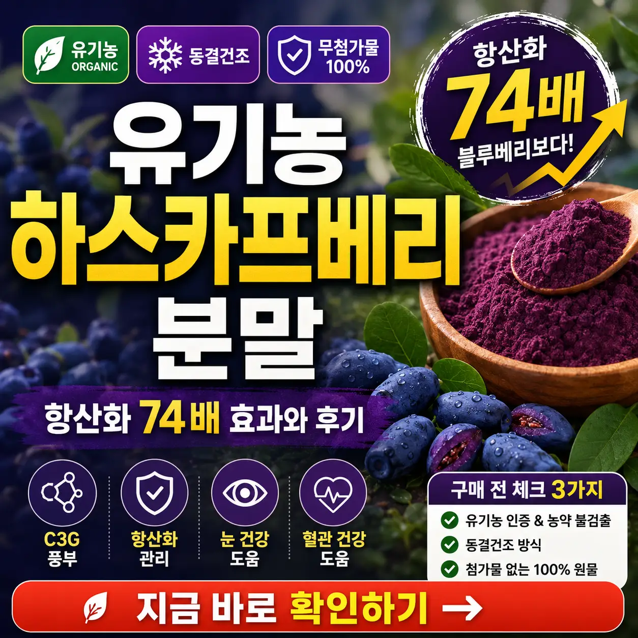 보랏빛 하스카프베리 분말과 항산화 74배 효과를 강조한 건강 정보 썸네일.
