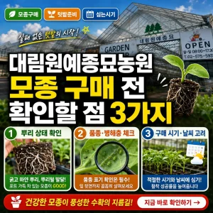 대림원예종묘농원 온실 배경에 모종 구매 전 확인할 3가지 포인트를 강조한 썸네일.