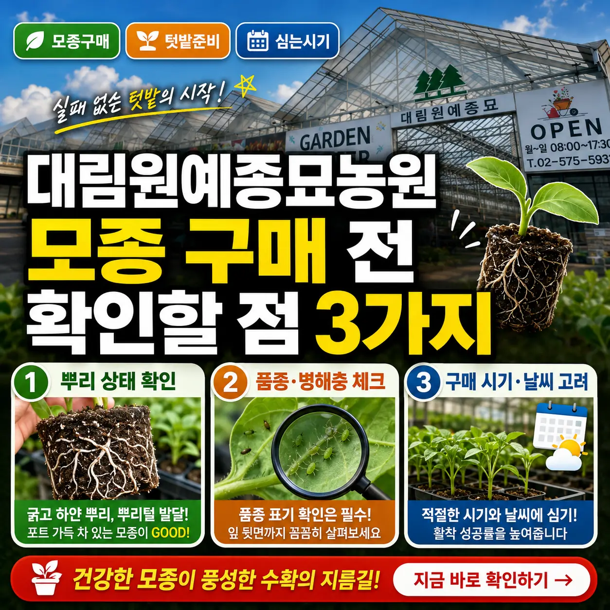 대림원예종묘농원 온실 배경에 모종 구매 전 확인할 3가지 포인트를 강조한 썸네일.