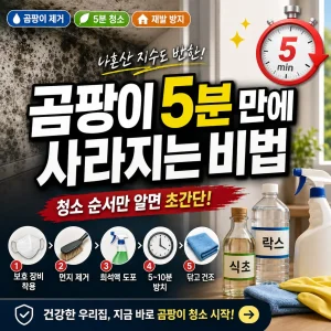 장마철 집 안 곰팡이를 5분 청소 비법으로 제거하는 썸네일 이미지.